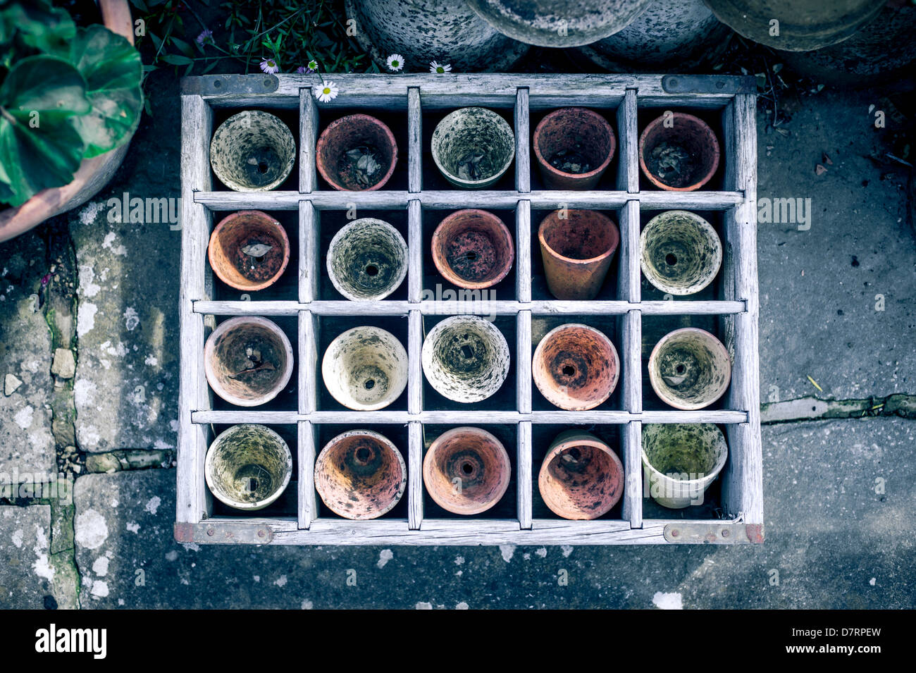 Una scatola contenente il vecchio usato di terracotta piccoli vasi per piante utilizzate per piantare semi. Foto Stock