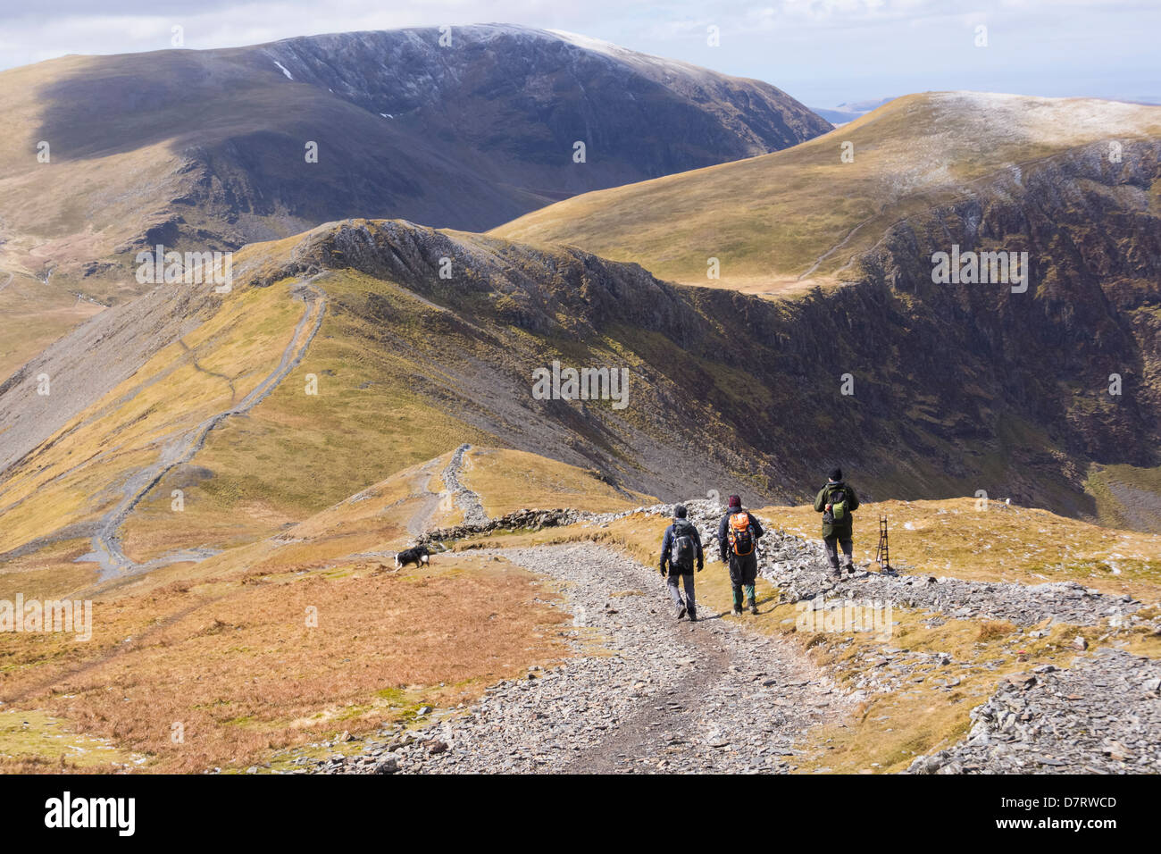 Gli escursionisti a piedi da Grisedale Pike verso Hopegill testa nel distretto del Lago Foto Stock