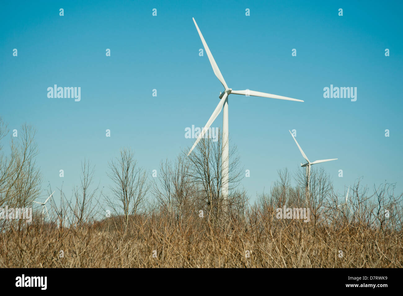 Le turbine eoliche in un campo Wolfe Island, una delle mille isole del fiume San Lorenzo, Ontario, Canada Foto Stock