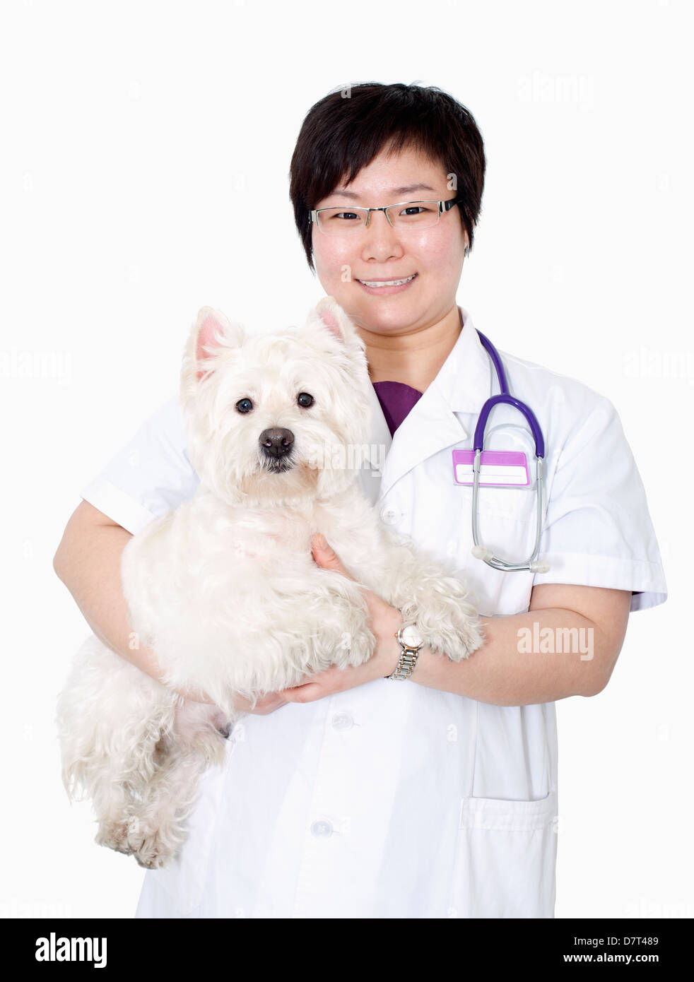 Ritratto di veterinario femmina tenendo un cane, studio shot Foto Stock