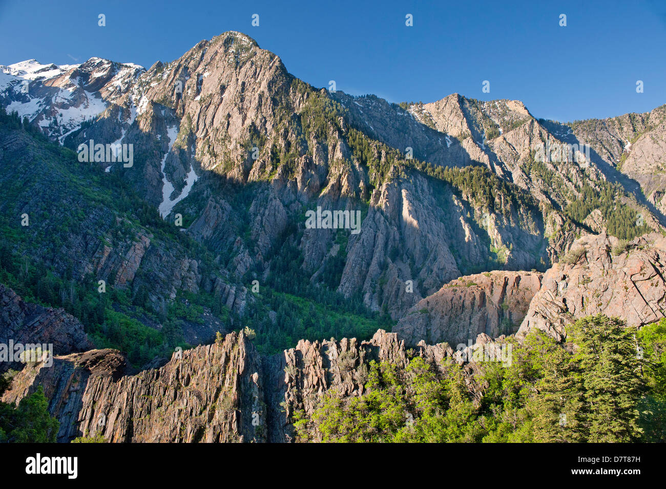 Stati Uniti d'America, Utah, Montagne Wasatch, Storm Mountain, grandi pioppi neri americani Canyon. La formazione che mostra rhythmites di marea e quarzite rock. Foto Stock