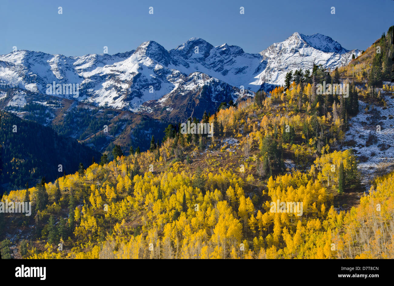 Vista della forcella di maggiordomo del Monte Olimpo, Twin Peaks, aree selvagge, Uinta-Wasatch-Cache National Forest, Salt Lake City, Utah Foto Stock