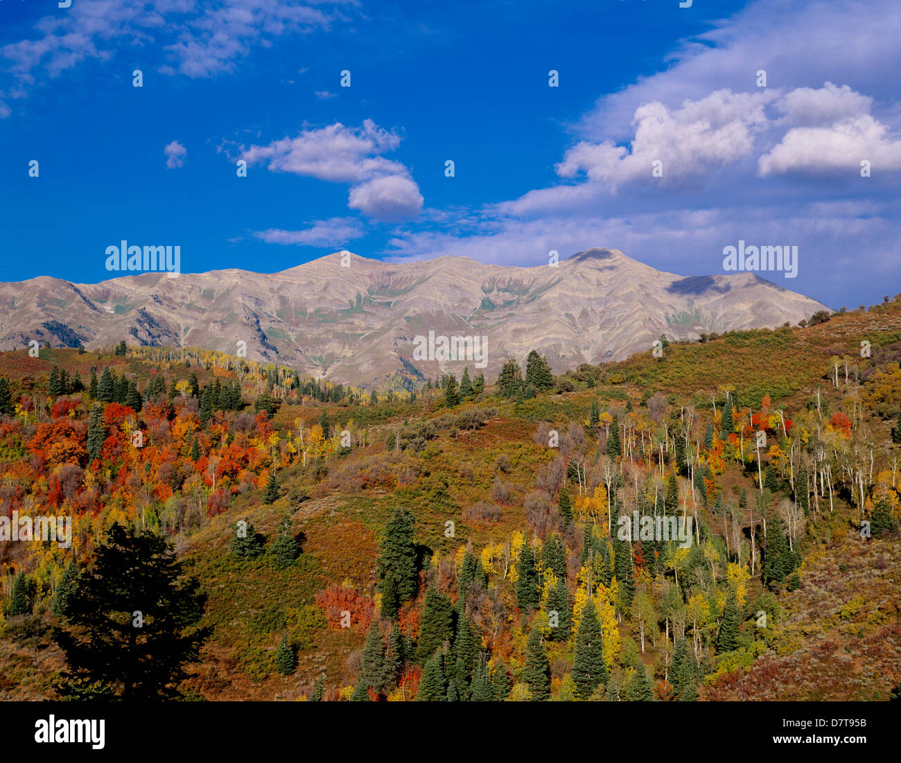 Il Monte Nebo Scenic Byway, Uinta-Wasatch-Cache National Forest nei pressi di Nefi e Salt Lake City, Utah Foto Stock