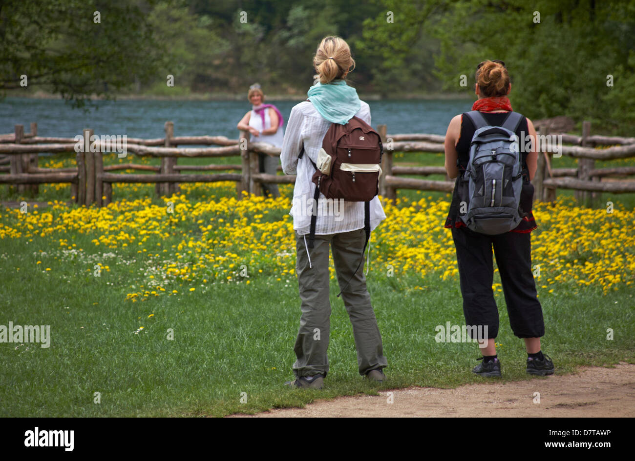 Turisti al Parco Nazionale dei Laghi di Plitvice, sito patrimonio dell'umanità dell'UNESCO, in Croazia a maggio - Parco Nazionale di Plitvice Foto Stock