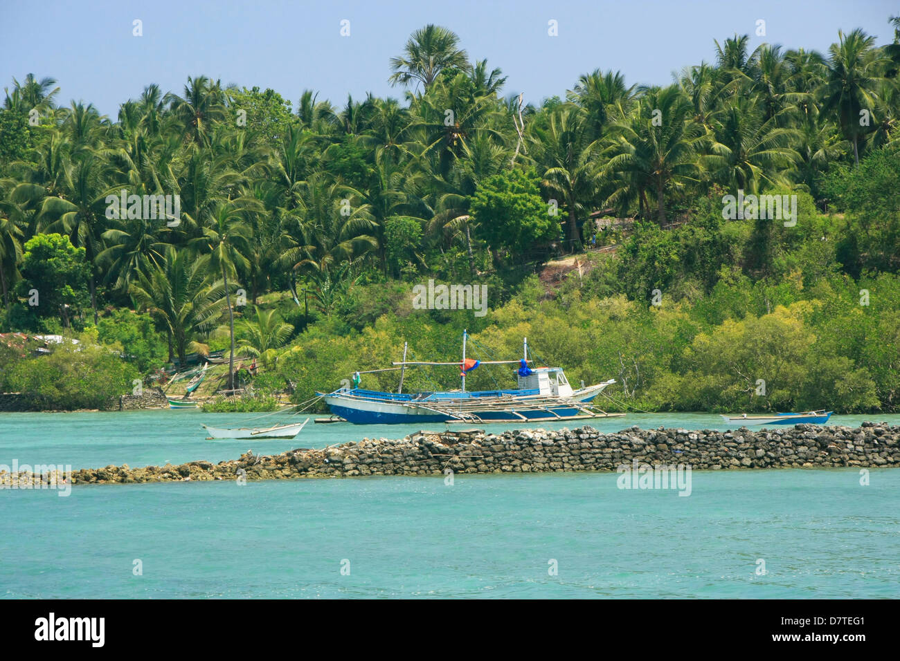 Le acque turchesi di isola di Cebu, Filippine, Sud-est asiatico Foto Stock
