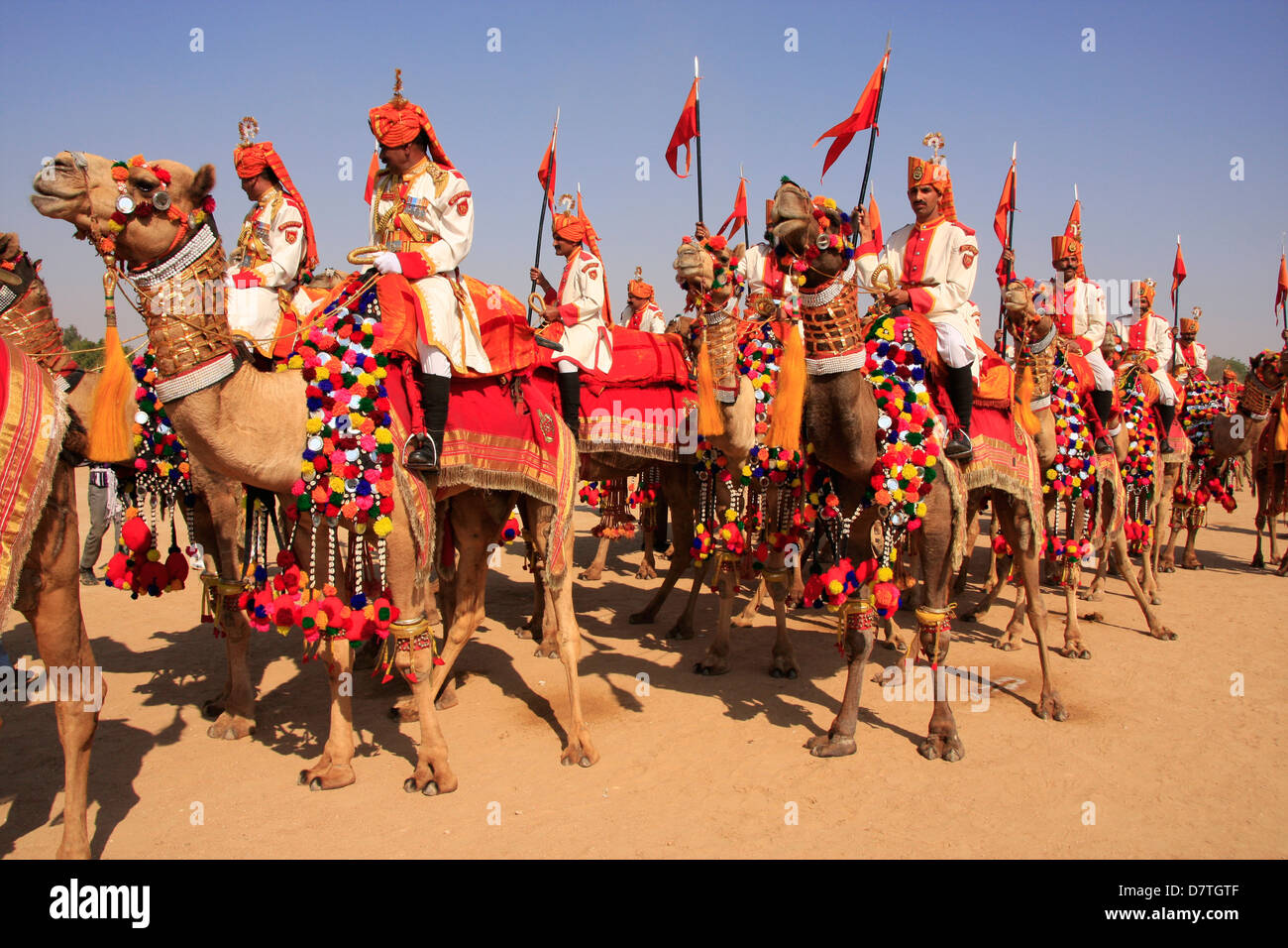 Colorata processione del cammello, serate dei deserto, Jaisalmer, Rajasthan, India Foto Stock