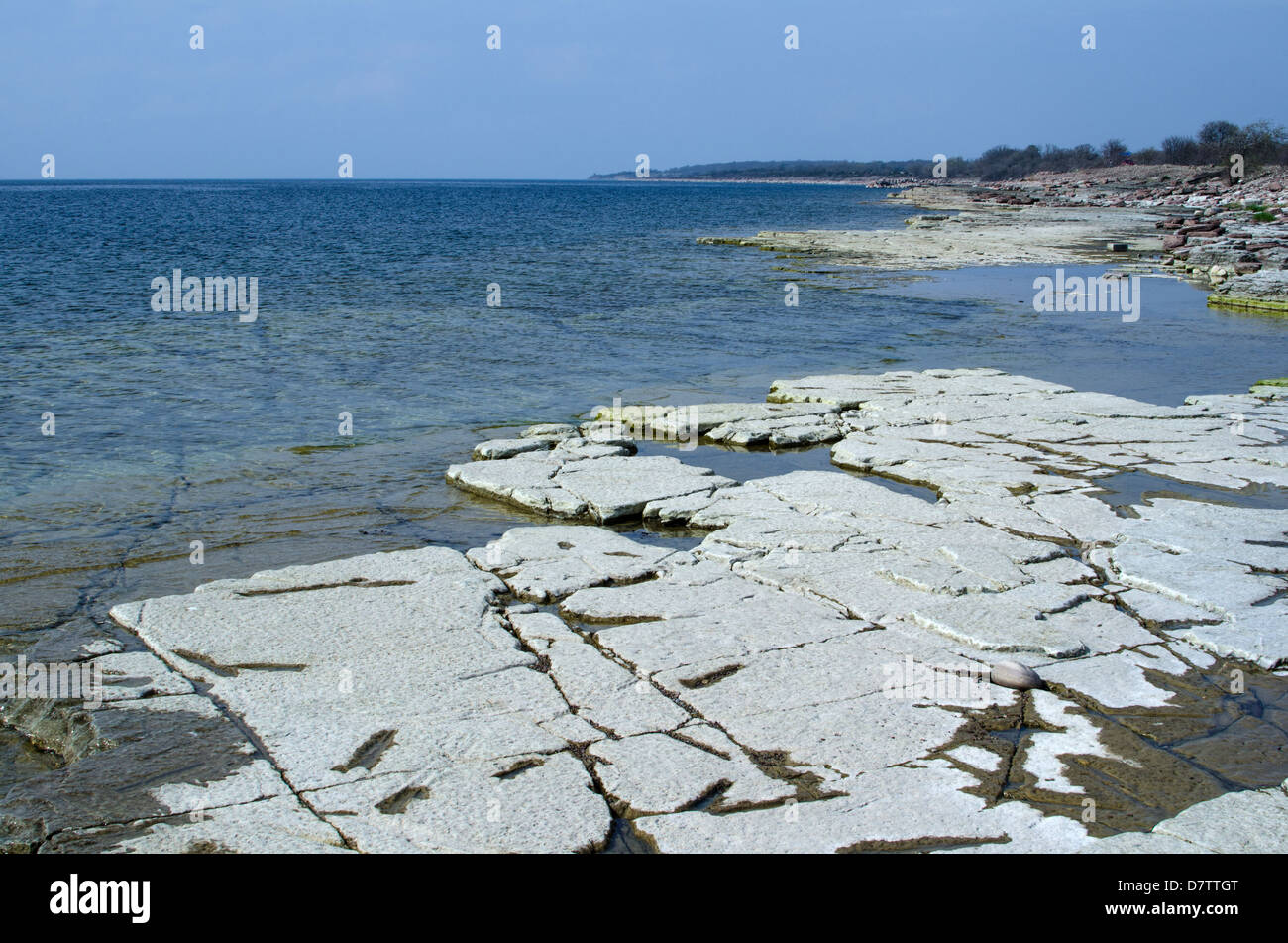 La vista su una pietra piatta coast presso l'isola svedese Oland nel Mar Baltico Foto Stock