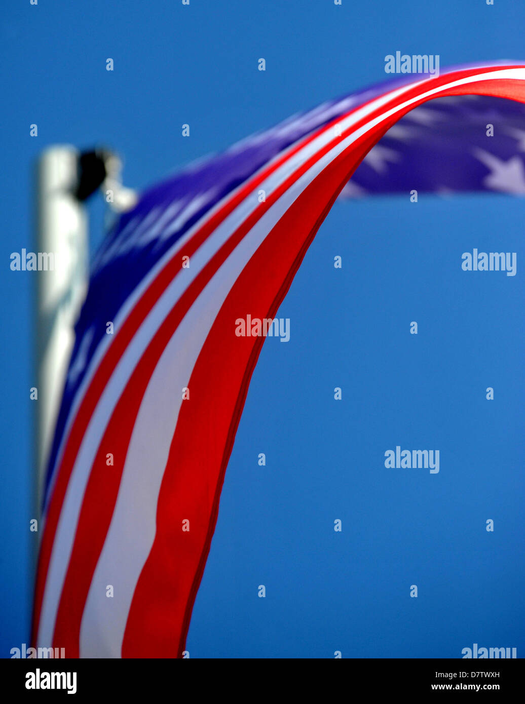 American, noi bandiera, STATI UNITI D'AMERICA Foto Stock