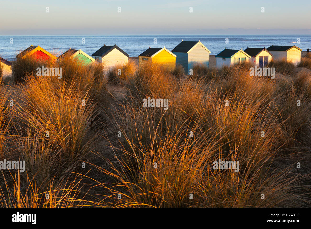 Cabine sulla spiaggia, in mezzo alle dune di sabbia, Southwold, Suffolk, Inghilterra, Regno Unito Foto Stock