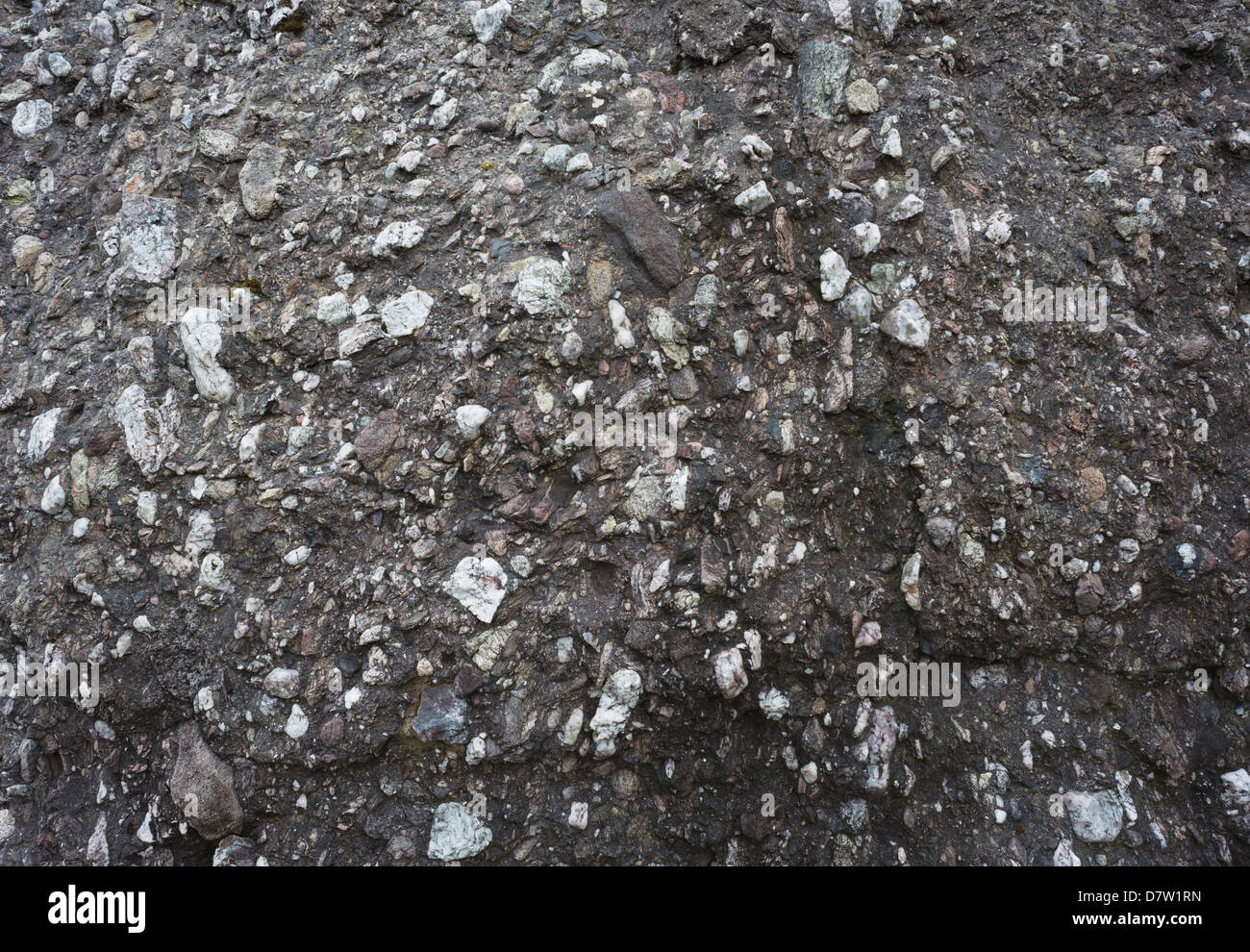 Dettaglio del Devoniano vecchia arenaria rossa conglomerato di ciottoli boulder vicino a Mahon Falls, Comeragh montagne, nella contea di Waterford, Irlanda Foto Stock