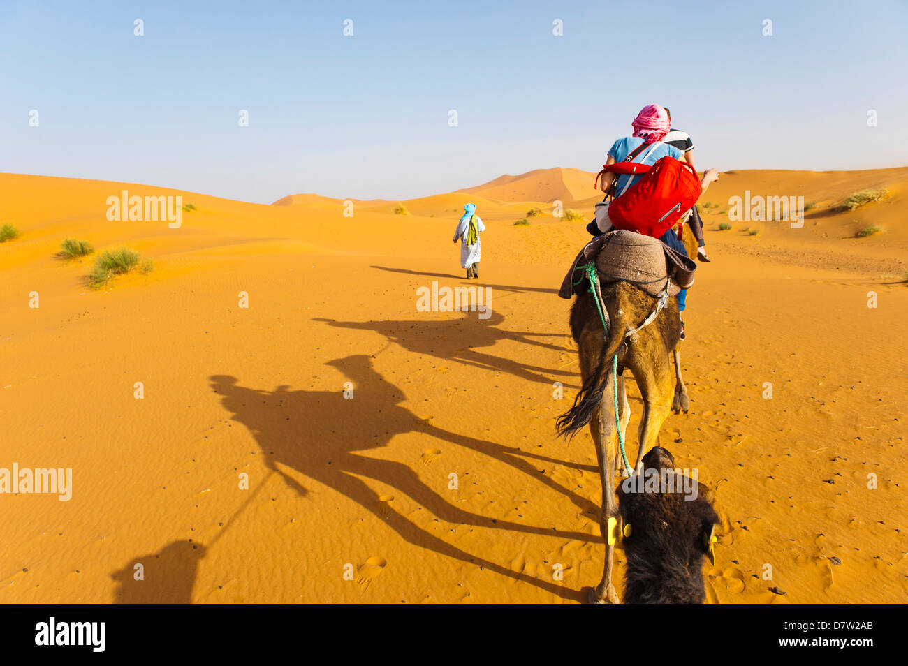 Erg Chebbi Desert, Sahara Deserto vicino a Merzouga, Marocco, Africa del Nord Foto Stock