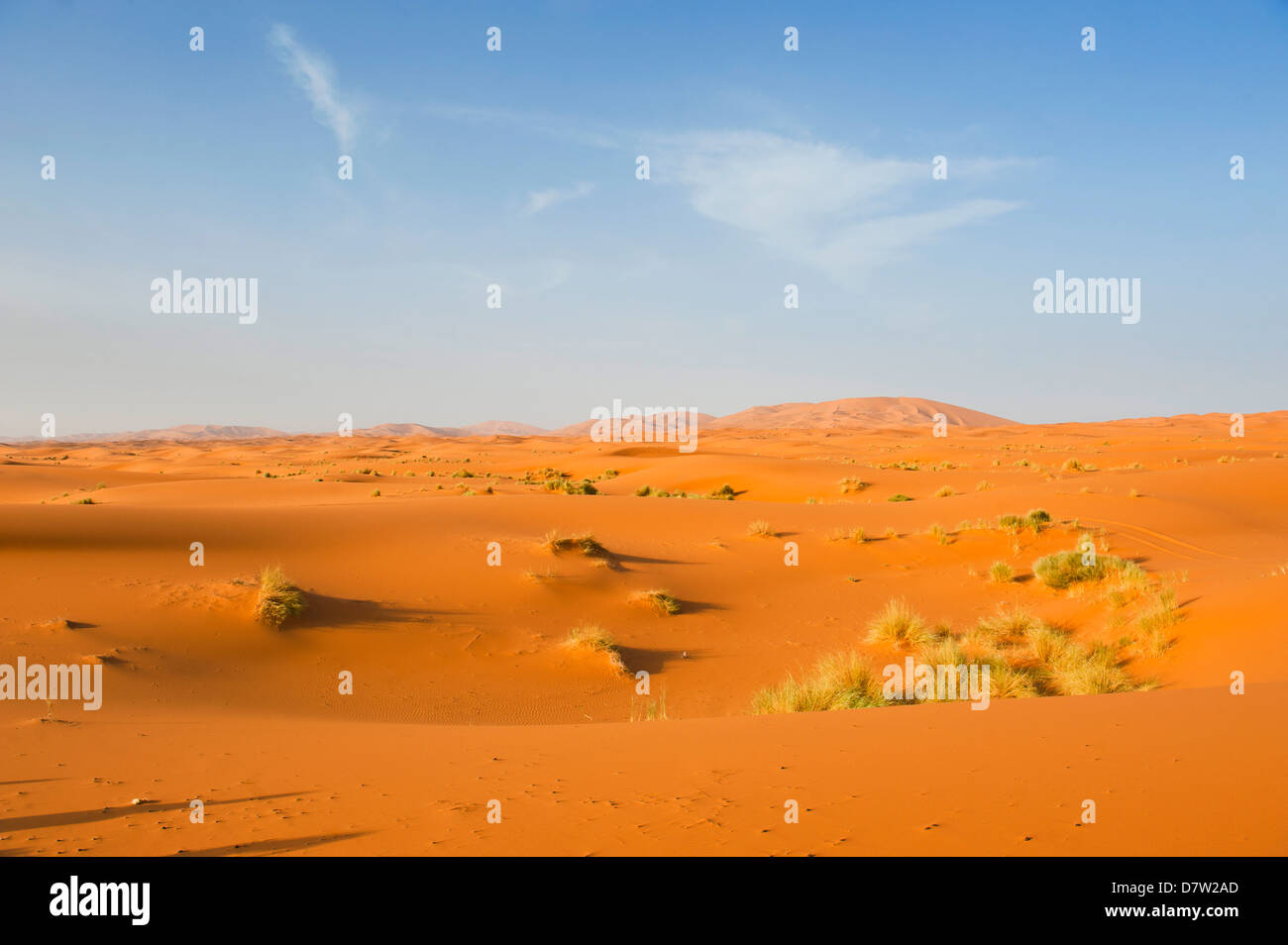 Dune di sabbia paesaggio di Erg Chebbi Desert, Sahara Deserto vicino a Merzouga, Marocco, Africa del Nord Foto Stock