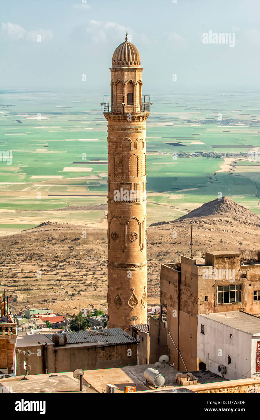 Sehidiye minareto della moschea, Mardin, Anatolia, Turchia orientale minore Foto Stock
