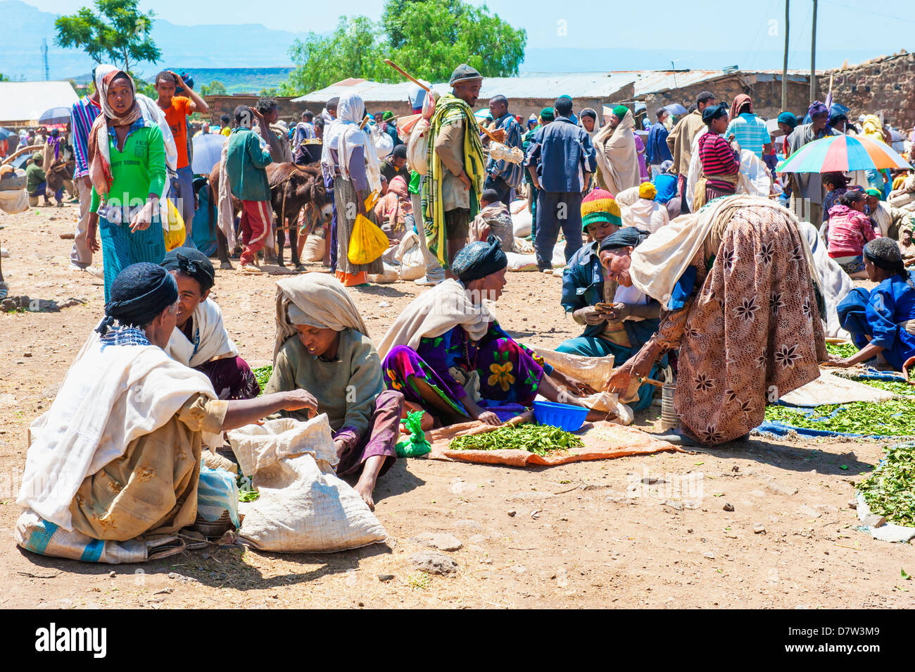 Le donne la vendita di verdura, Lalibela mercato, Amhara Region, Etiopia settentrionale Foto Stock