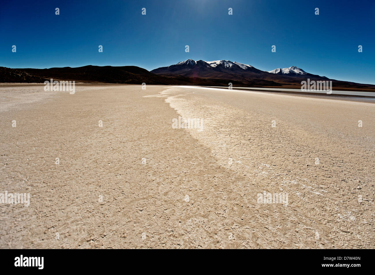 Sul bordo di un lago di sale elevato sulle Ande boliviane, Bolivia, Sud America Foto Stock