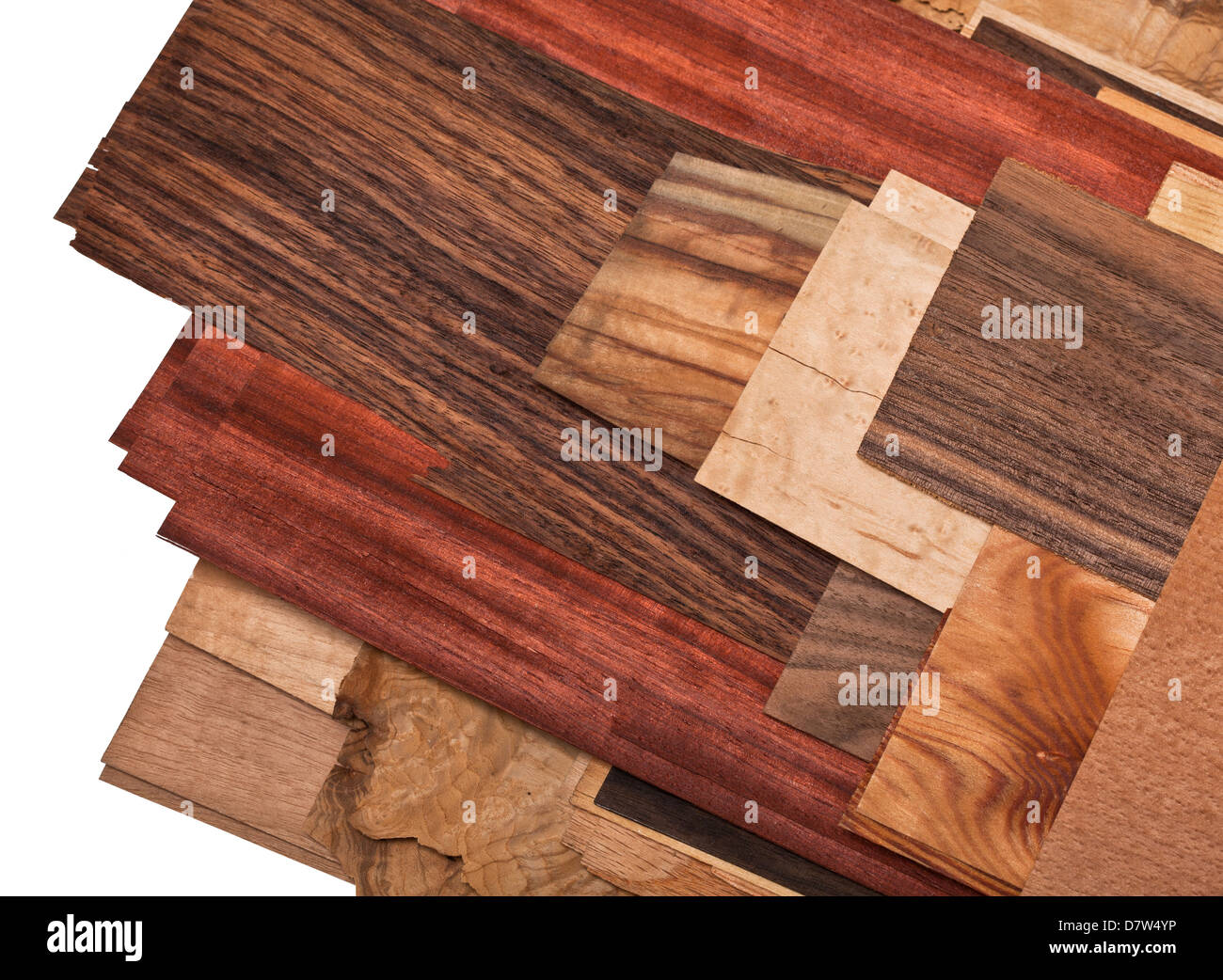 Diversi tipi di legno su sfondo bianco Foto Stock Diversi tipi di legno su sfondo bianco Foto Stock