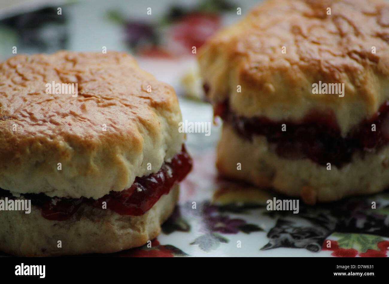 Jam scones sulla piastra floreale con gatti Foto Stock