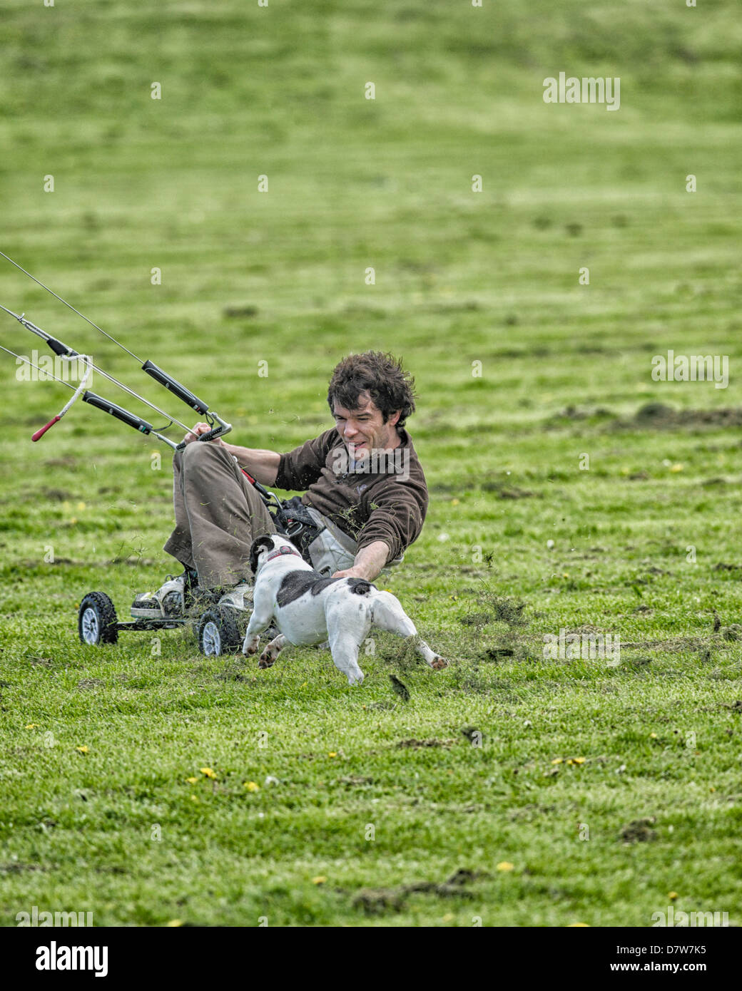 Una terra boarder è inseguito da un cane a Goring Gap, Worthing. Caratteristiche leggera sfocatura dovuta alla velocità di azione Foto Stock