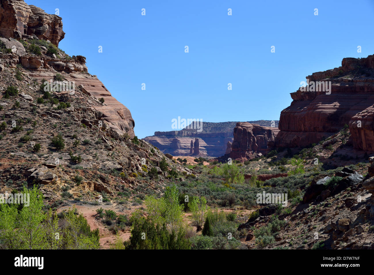 Pietra arenaria rossa rupe del Colorado Plateau. Moab, Utah, Stati Uniti d'America. Foto Stock