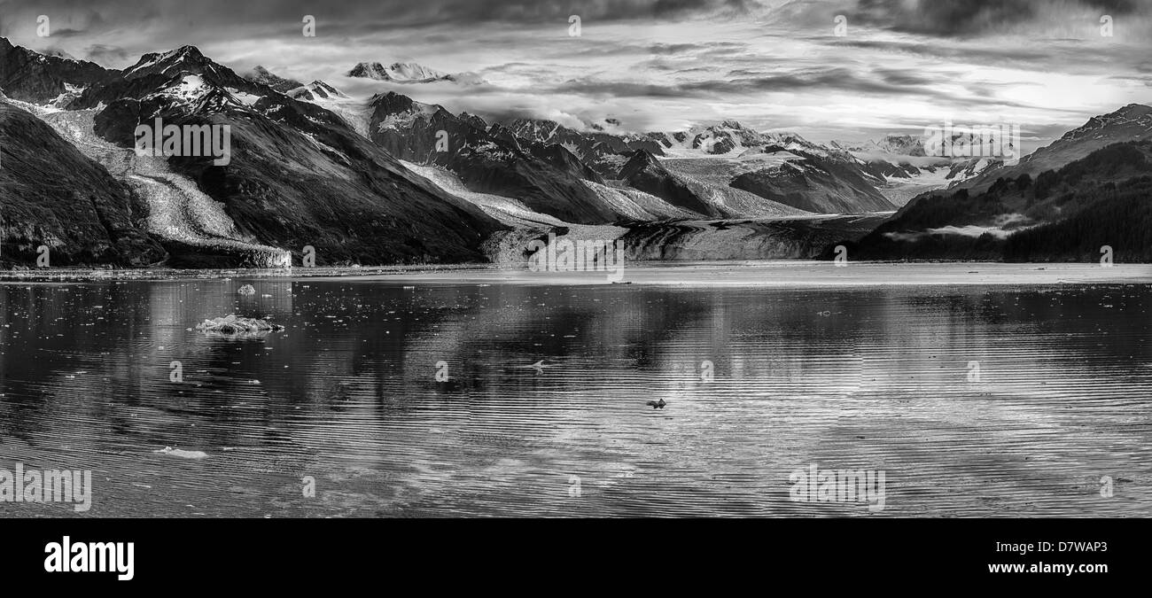 Una panoramica di B&W immagine del ghiacciaio Margerie,Parco Nazionale di Glacier Bay,Alaska Foto Stock