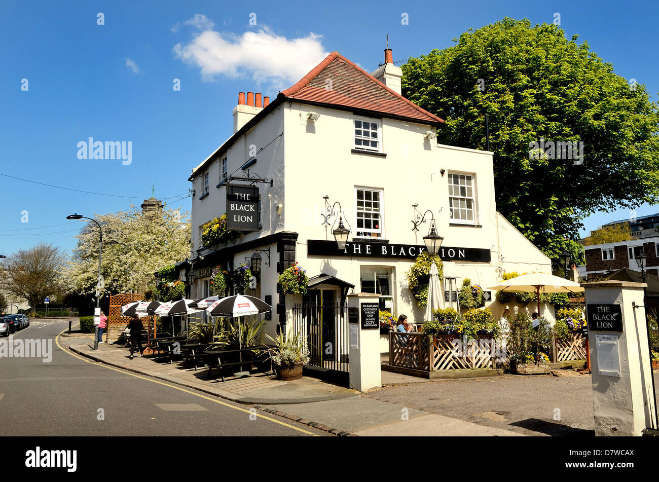 Il Leone Nero pub di Hammersmith West London Foto Stock