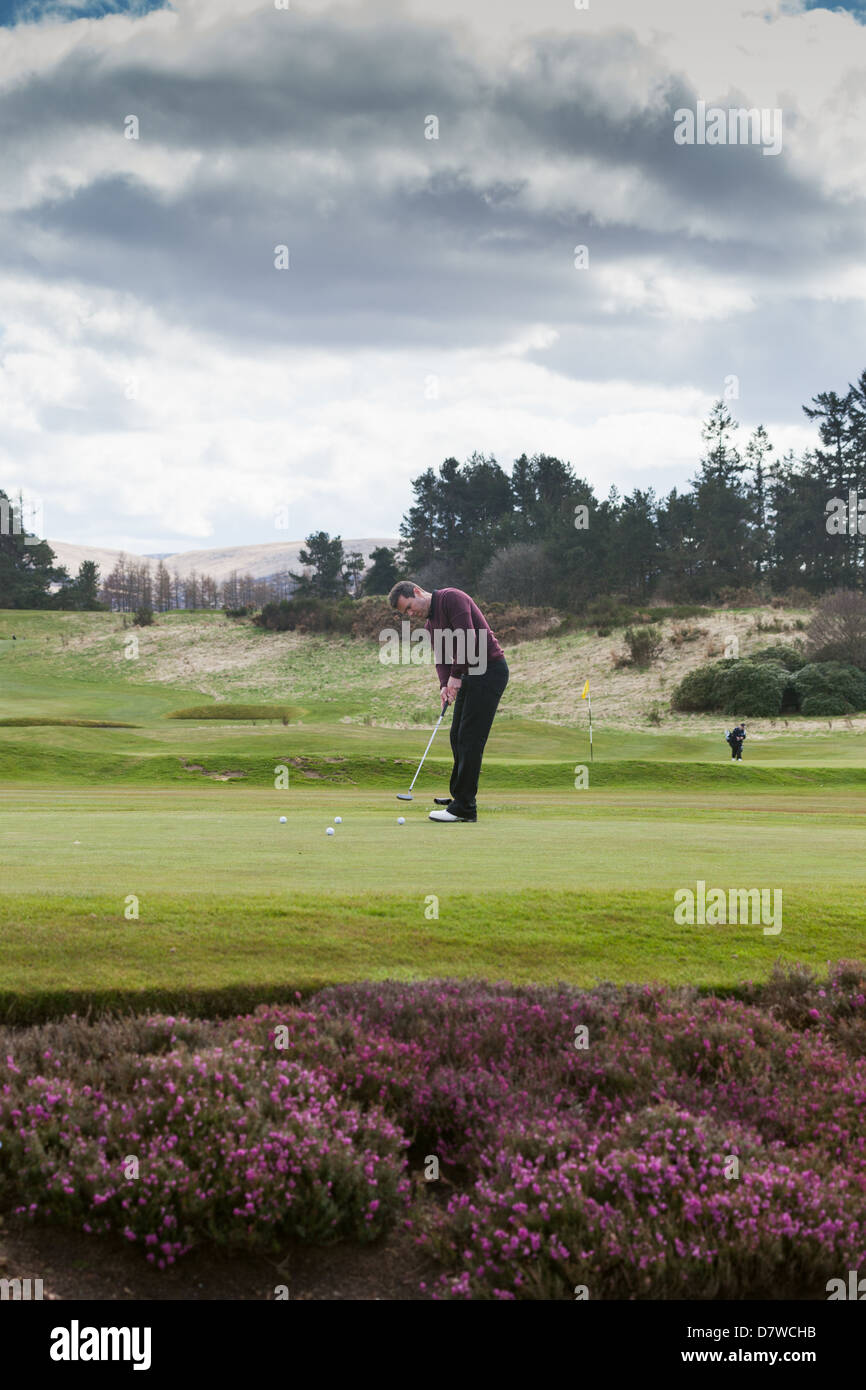 La pratica del golf sul green. GlenEagles Regno Unito Scozia Foto Stock