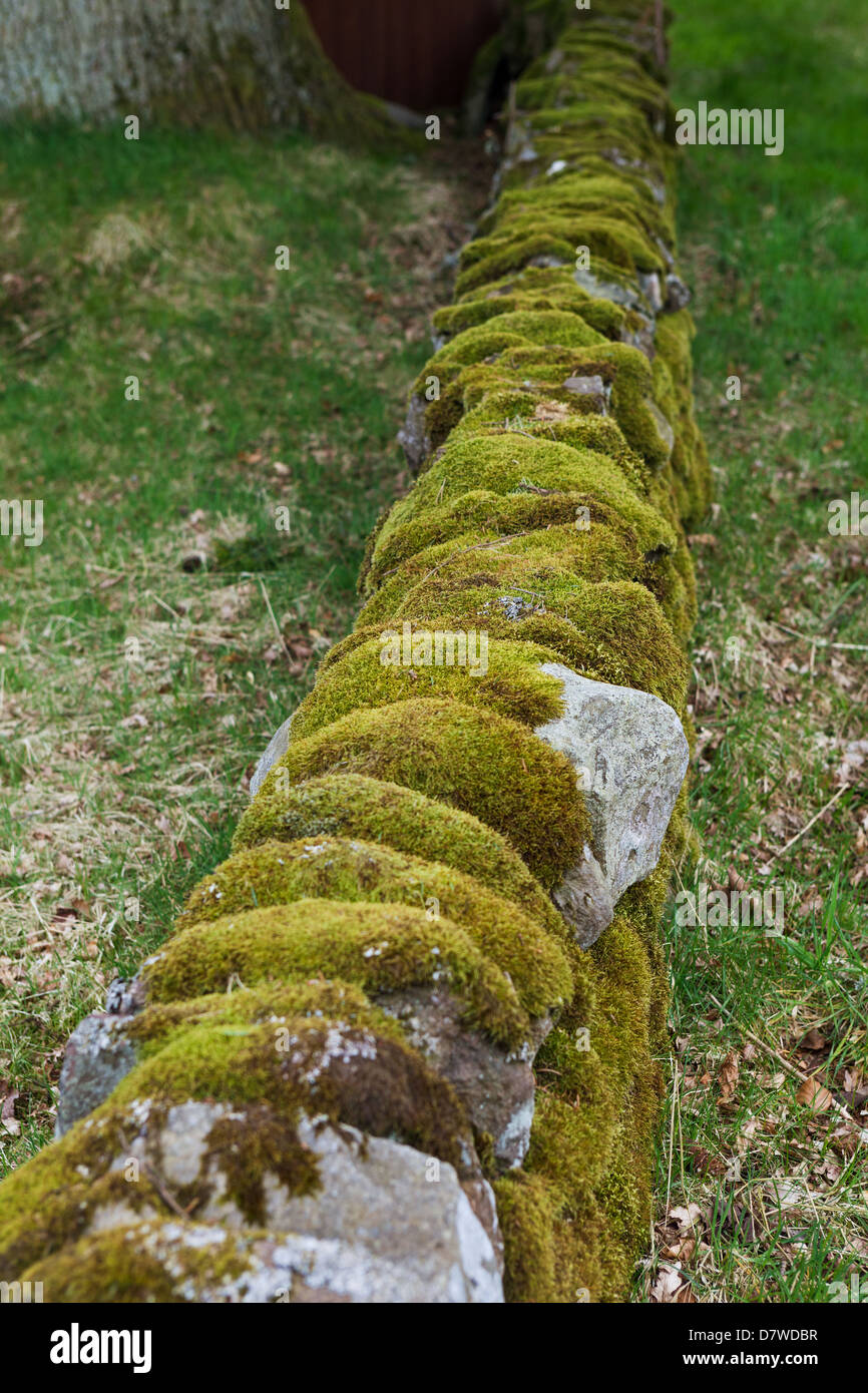 Le antiche pareti di pietra ricoperta con MOSS e litchen Foto Stock