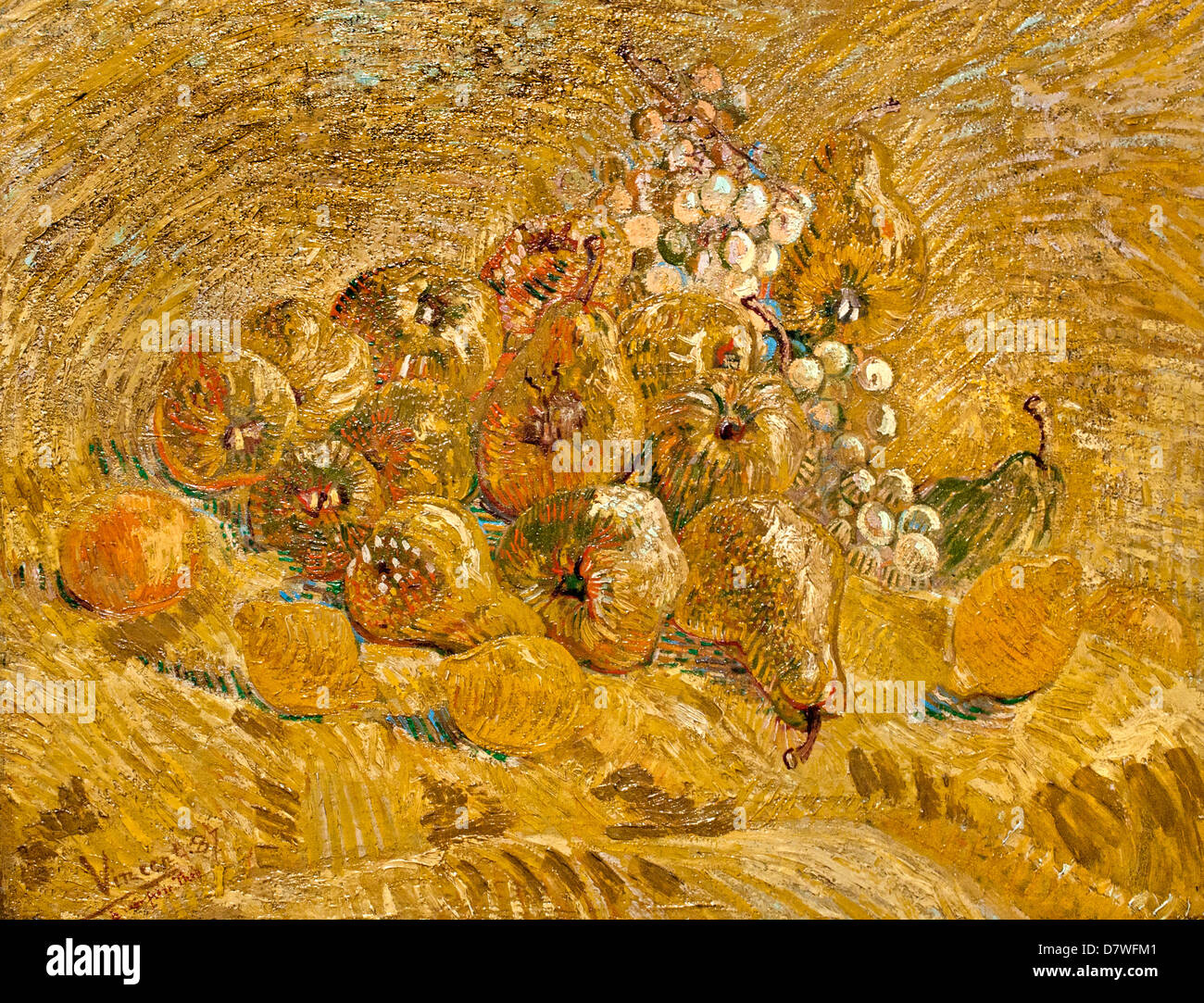 Cotogne Limoni le pere e le uve 1887 Vincent van Gogh 1853 - 1890 Paesi Bassi olandese Post Impressionismo Foto Stock