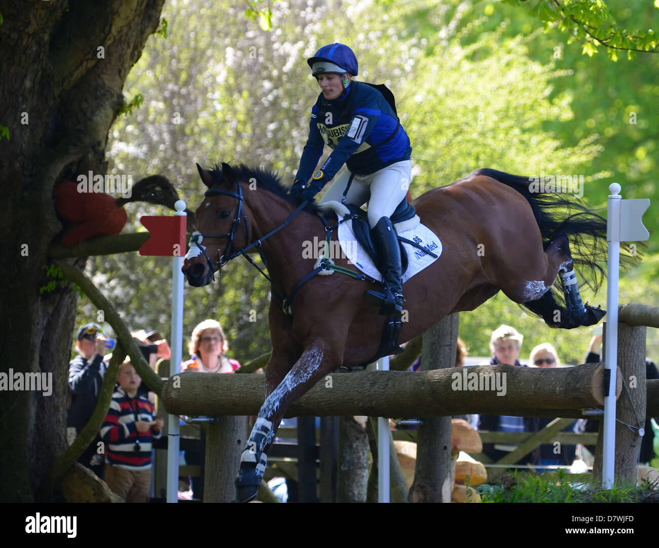 Zara Phillips in sella ad alta Regno attraverso la Huntsmans vicino complesso - Sorprendente il recupero da cavallo e cavaliere al recinto 7C ! Foto Stock