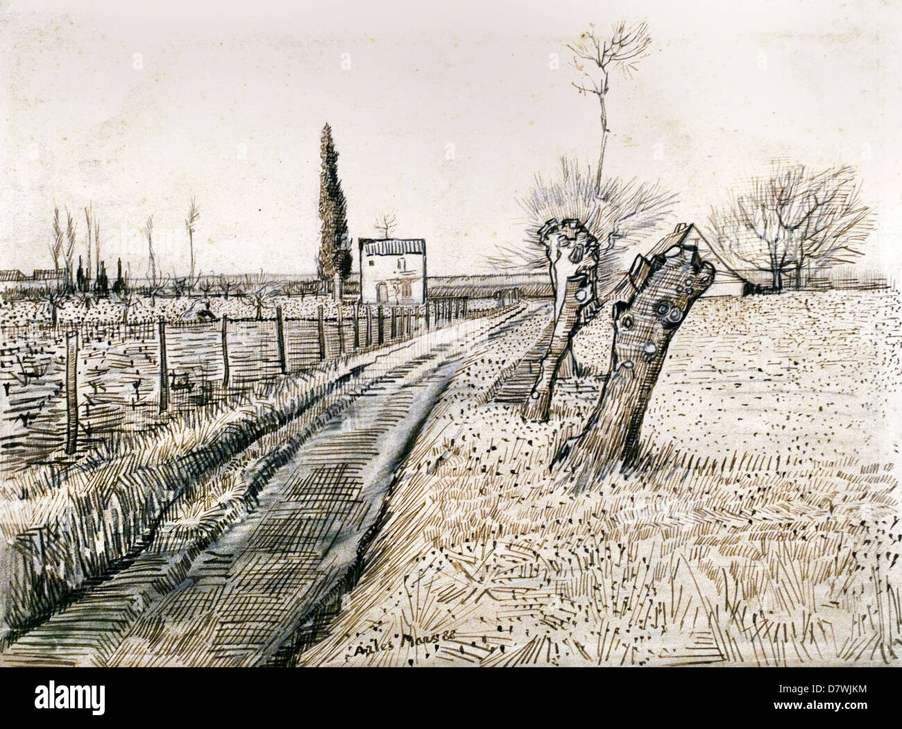 Paesaggio con percorso e pollard salici 1888 Vincent van Gogh 1853 - 1890 Paesi Bassi olandese Post Impressionismo Foto Stock