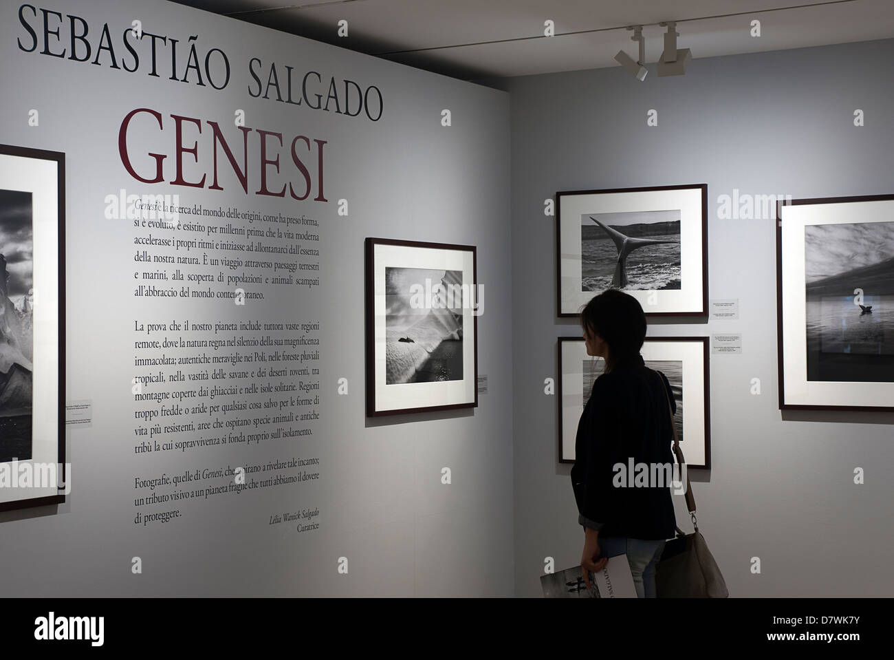 Mostra 'GENESIS' del fotografo brasiliano Sebastiao Salgado. Museo dell'Ara Pacis, Roma, Italia. Foto Stock