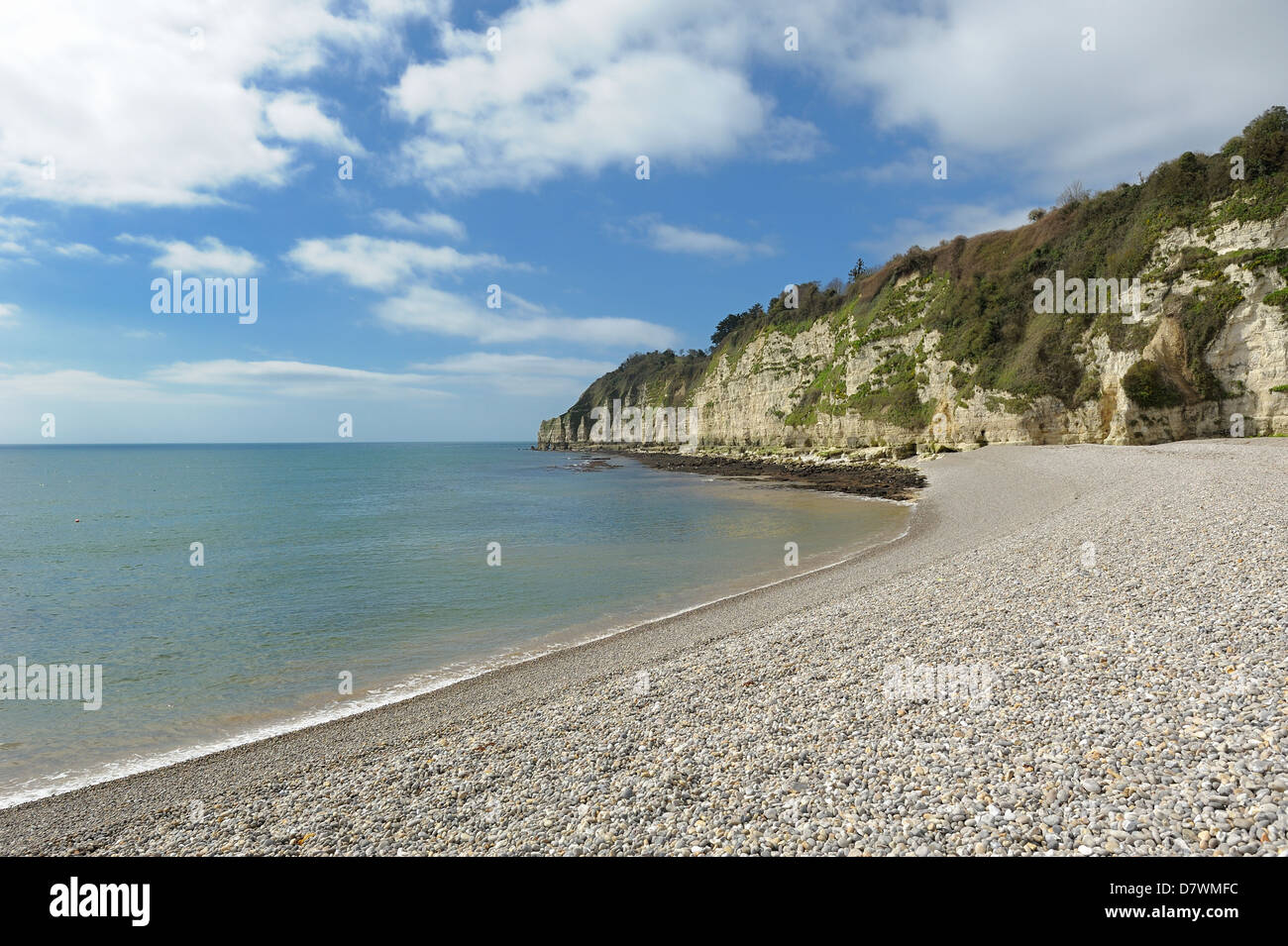 Una spiaggia ghiaiosa birra Devon England Regno Unito Foto Stock