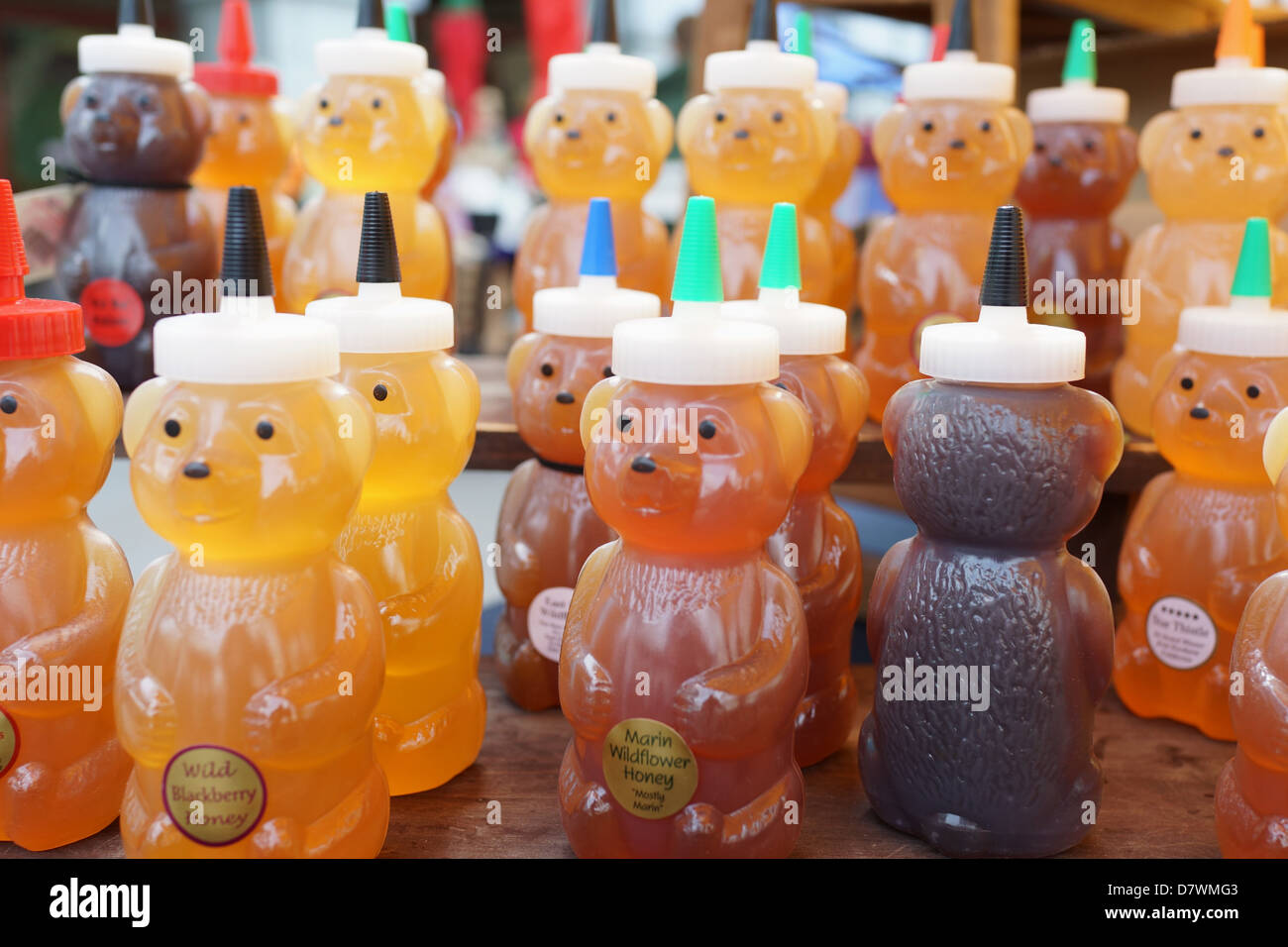 Orsi di miele Foto Stock