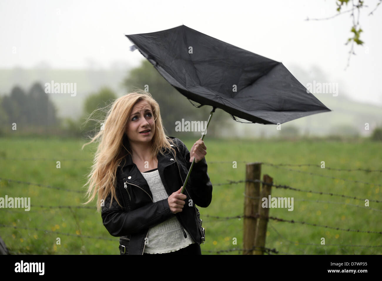 Shepton Mallet,Somerset, Regno Unito. 14 maggio 2013. Il vento e la pioggia ha colpito il sud ovest dell'Inghilterra. Credito: JASON BRYANT / Alamy Live News Foto Stock