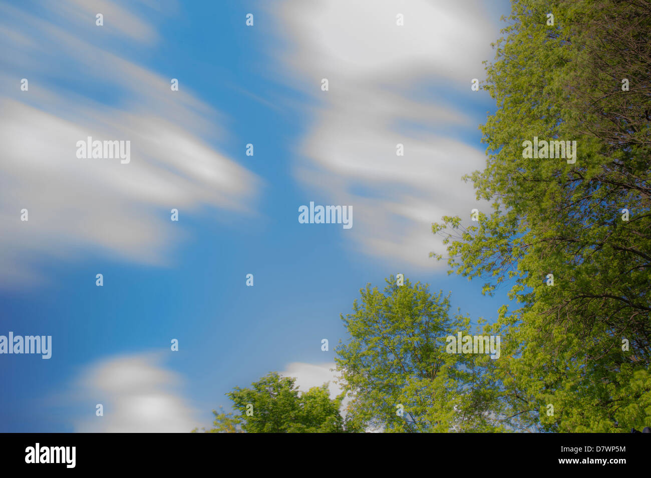 In rapido movimento di nuvole e vento alberi sfocato Foto Stock
