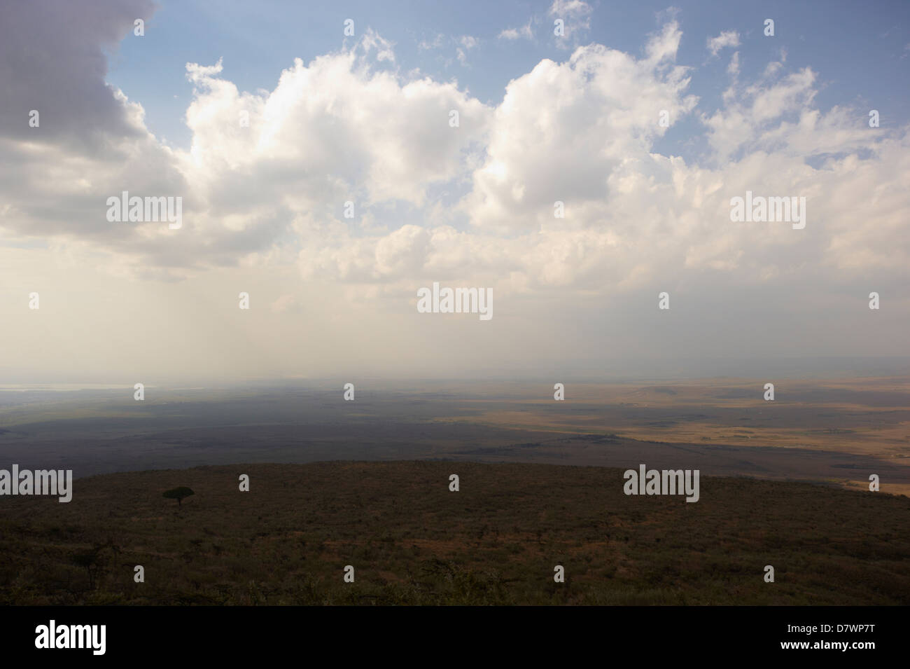 Vista della Grande Rift Valley dal monte Longonot, Mount Longonot National Park, Nakuru, Kenya Foto Stock