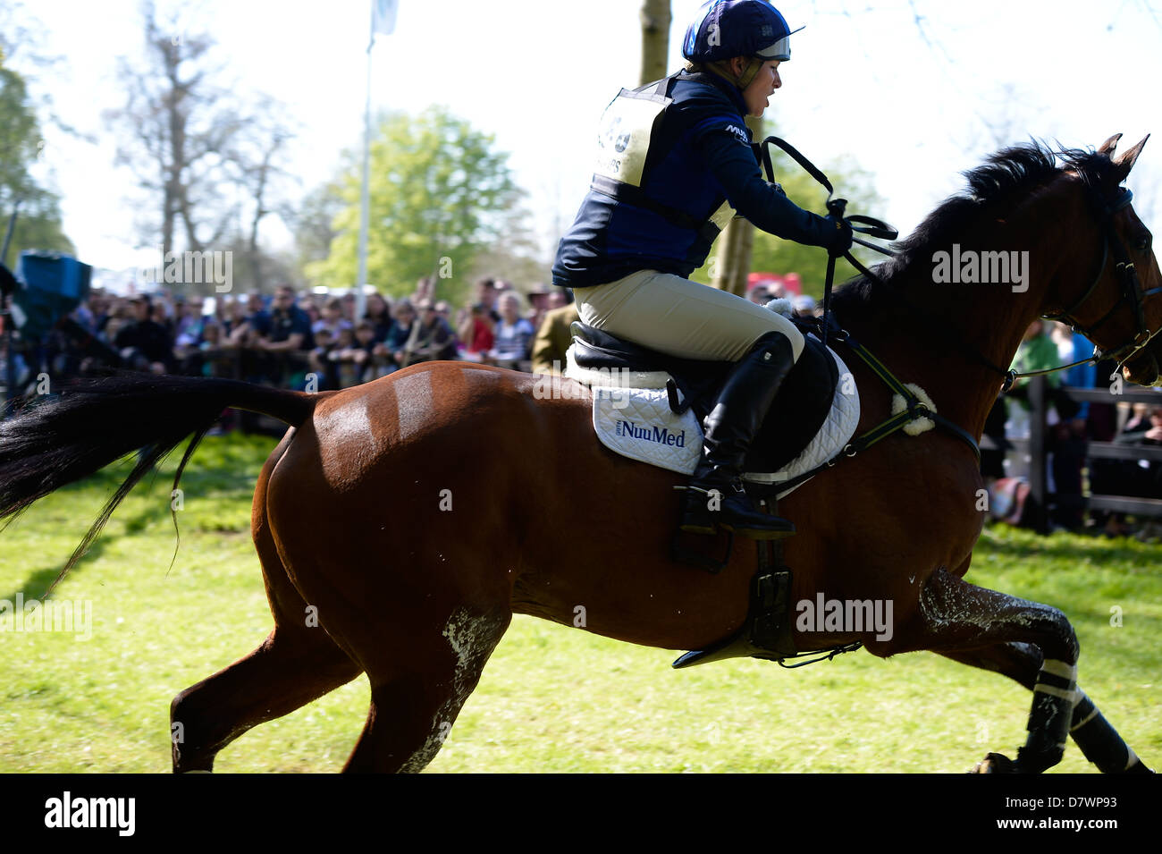 Zara Phillips in sella ad alta Regno attraverso la Huntsmans vicino complesso - Sorprendente il recupero da cavallo e cavaliere al recinto 7C ! Foto Stock