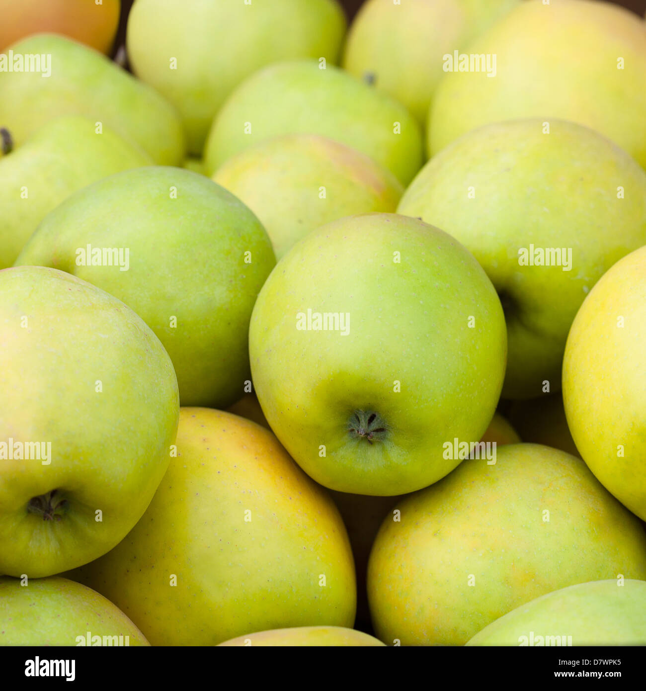 Yummy pila di mele in stallo del mercato closeup Foto Stock