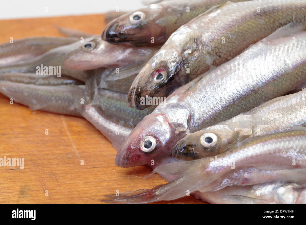 Smelleds fresco pesce sul tagliere di legno Foto Stock