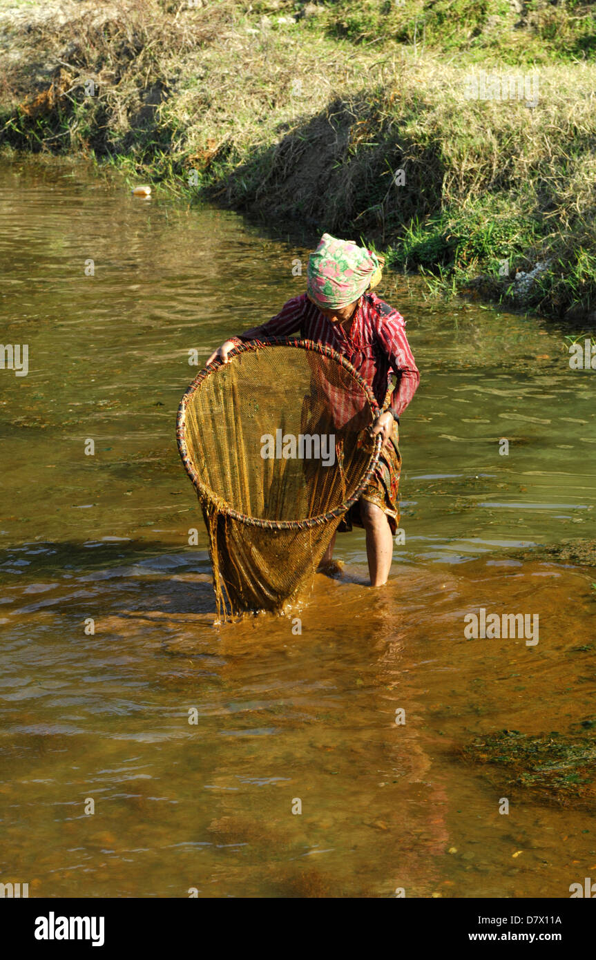 Le donne nepalesi la pesca con reti tradizionali vicino Phokara, Nepal Foto Stock