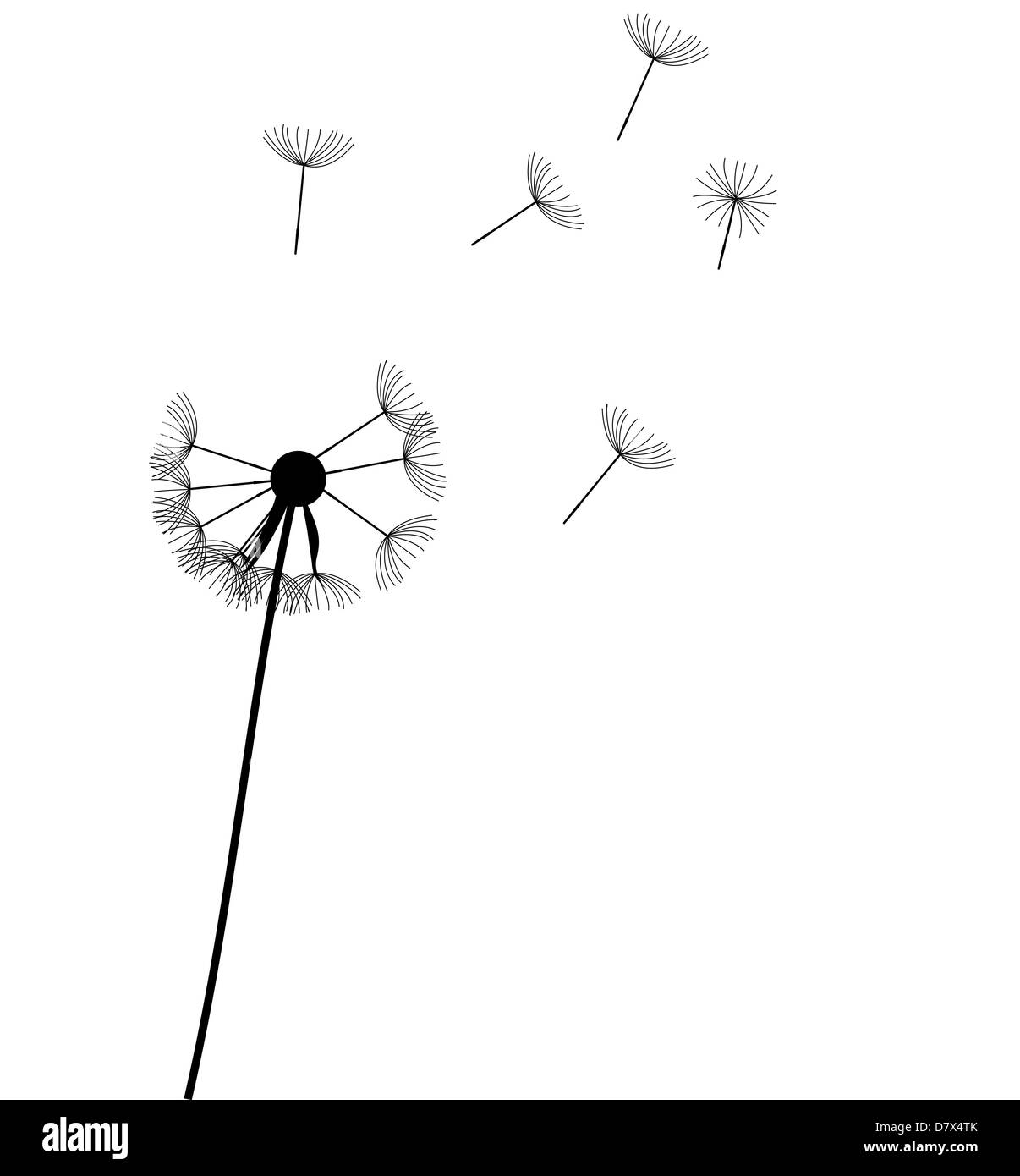 Abstract tarassaco sfondo illustrazione vettoriale Foto Stock