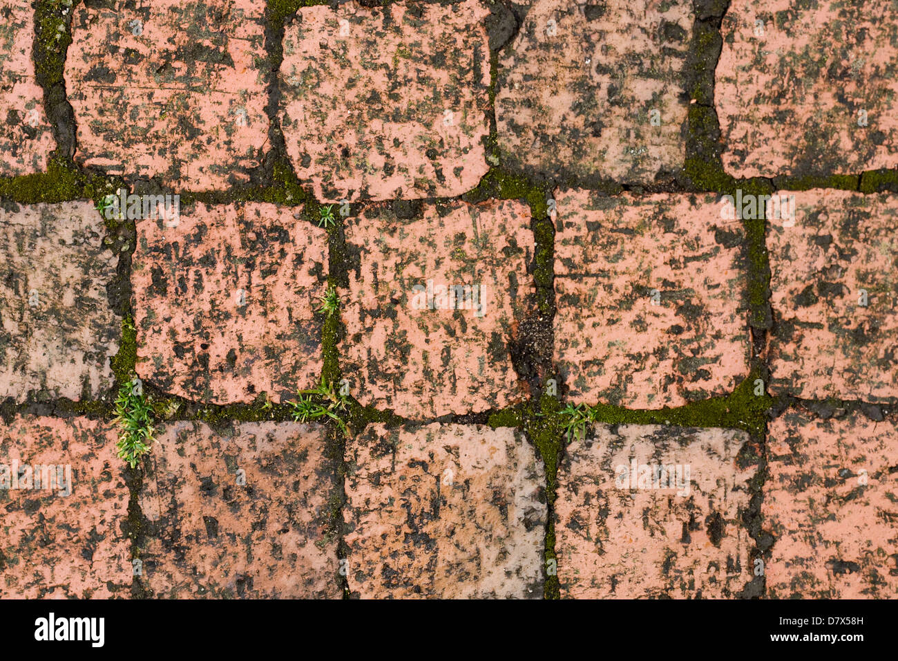 Mattone rosso percorso sett. Foto Stock