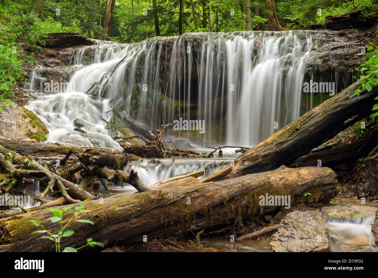 Il cade sui tessitori creek in Owen Sound, Ontario, Canada Foto Stock