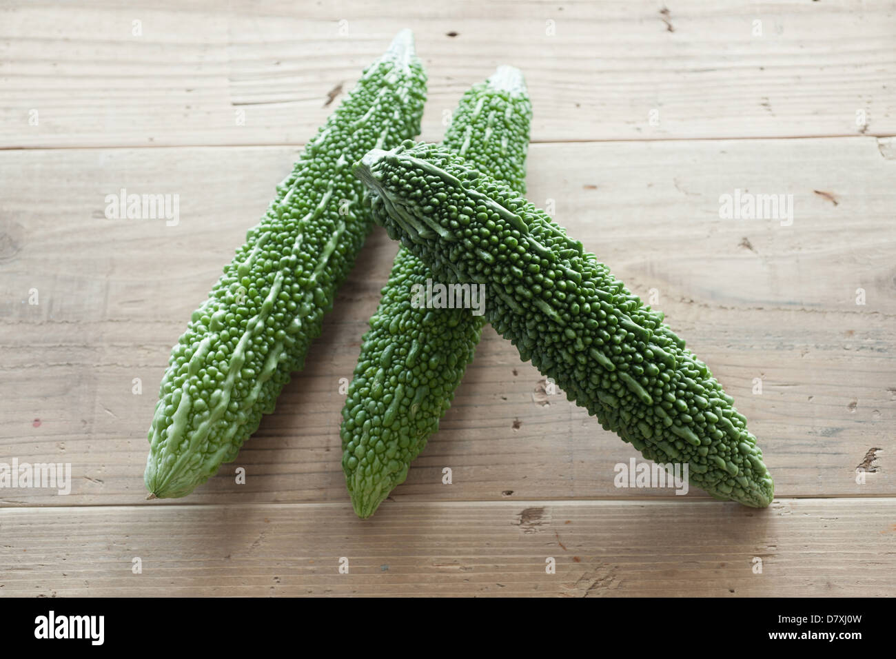 Zucca amara Foto Stock