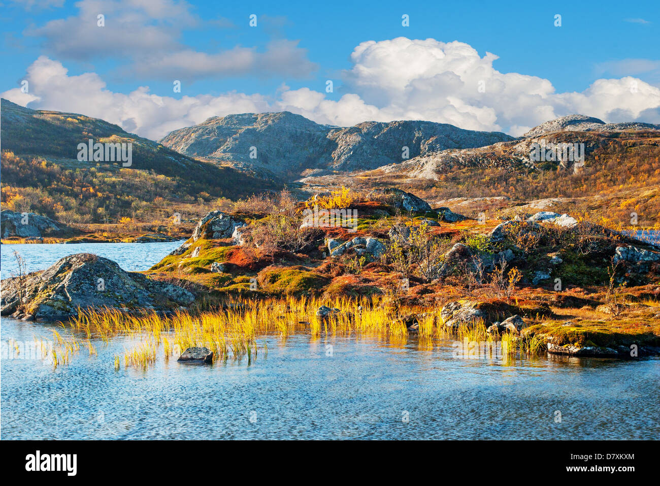 Bellissimo paesaggio di montagna in Norvegia Foto Stock