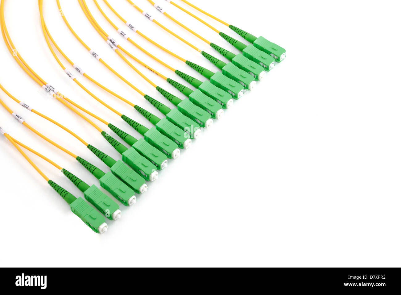 Il verde in fibra ottica connettori SC su sfondo bianco Foto Stock