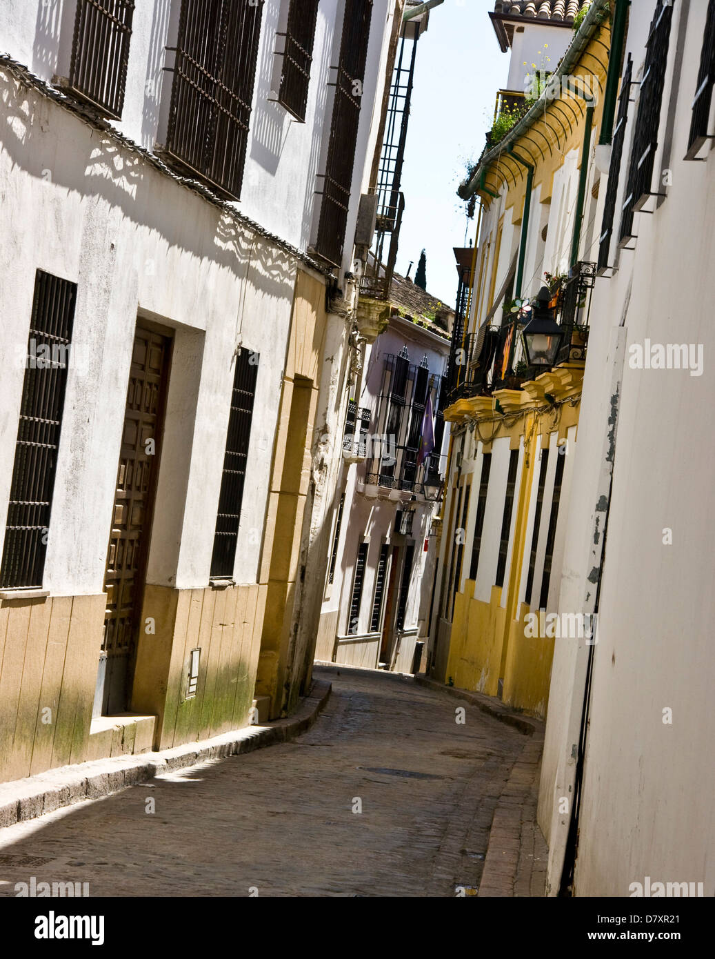 Stretta viuzza acciottolata in la Juderia il vecchio quartiere ebraico Cordoba Andalusia Andalusia Spagna Europa Foto Stock
