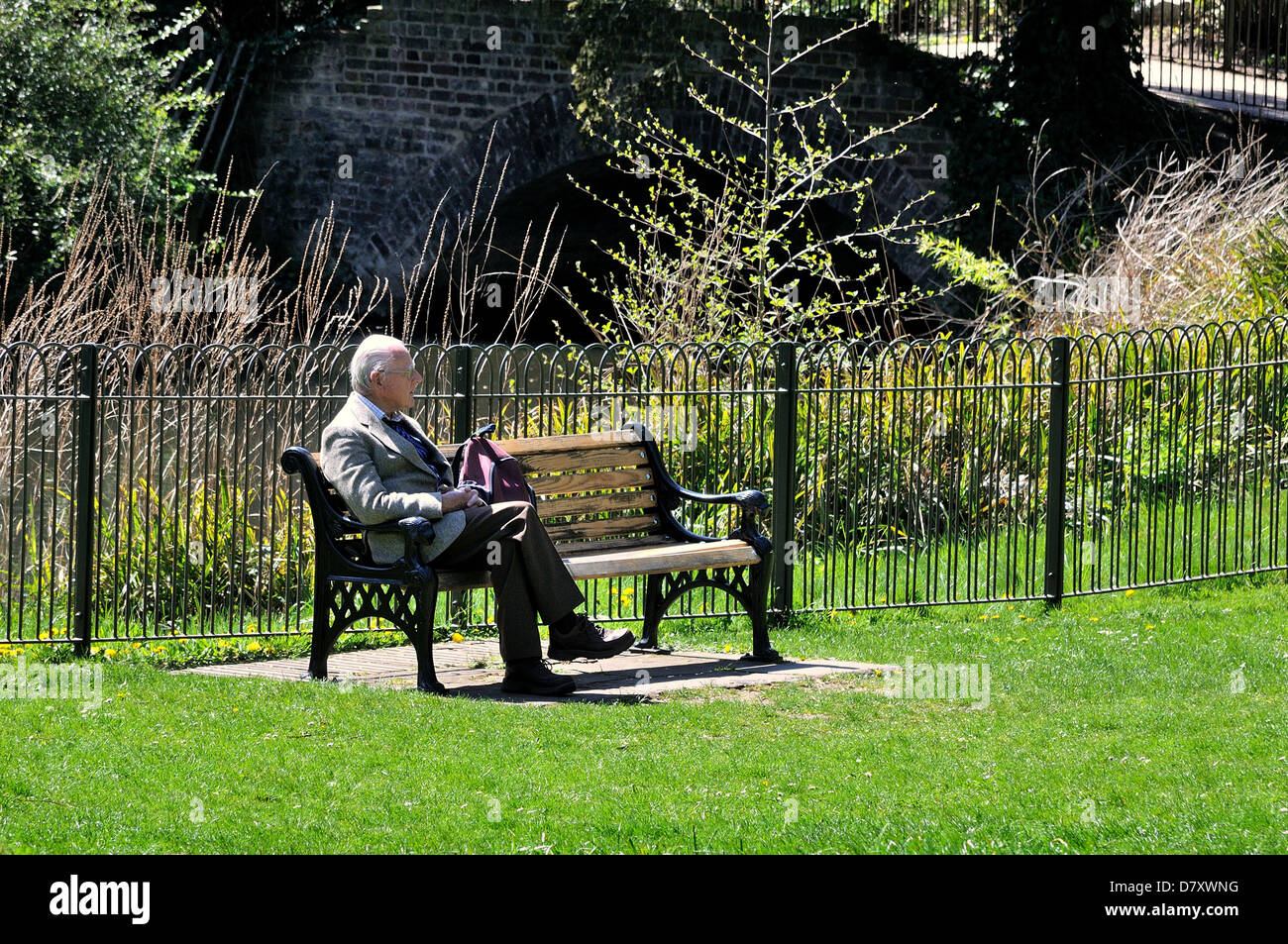 Unico vecchio seduto su un banco in un soleggiato parco Foto Stock