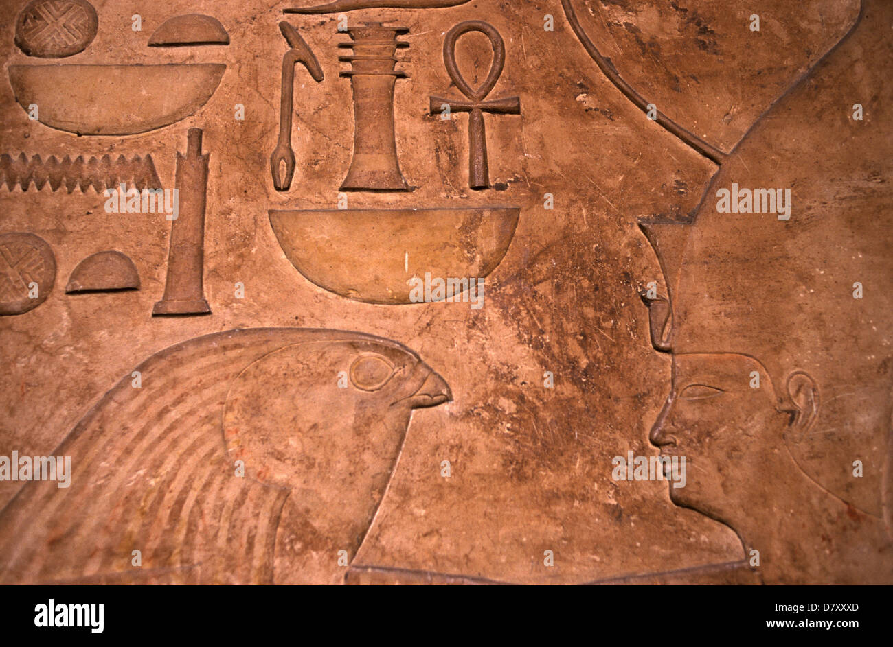 Hieroglyph sollievo presso il Museo delle Antichità Egizie, noto comunemente come il Museo Egizio o il museo del Cairo, del Cairo in Egitto Foto Stock