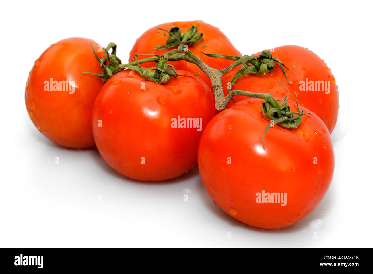 Organici di pomodori rossi sulla vite su sfondo bianco Foto Stock